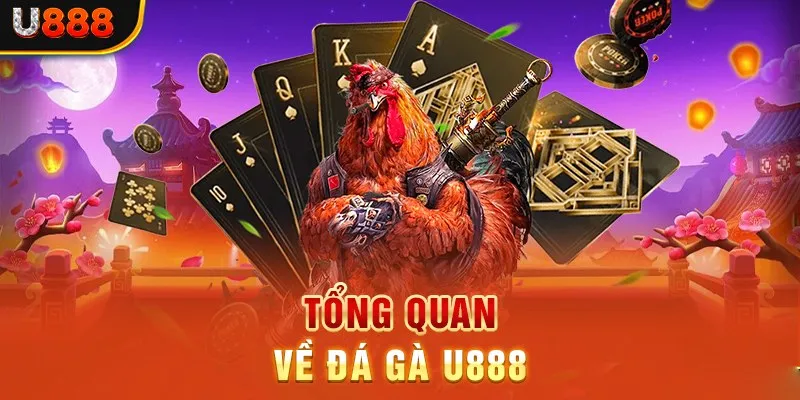 Tìm hiểu sảnh đá gà U888 hấp dẫn mọi người chơi