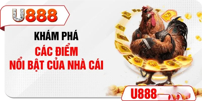 Sức hút của sảnh đá gà U888 được nhiều người ghi nhận